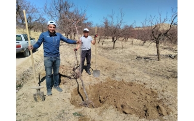 BAHAR GELDİ, KÖYDE İŞLER AÇILDI